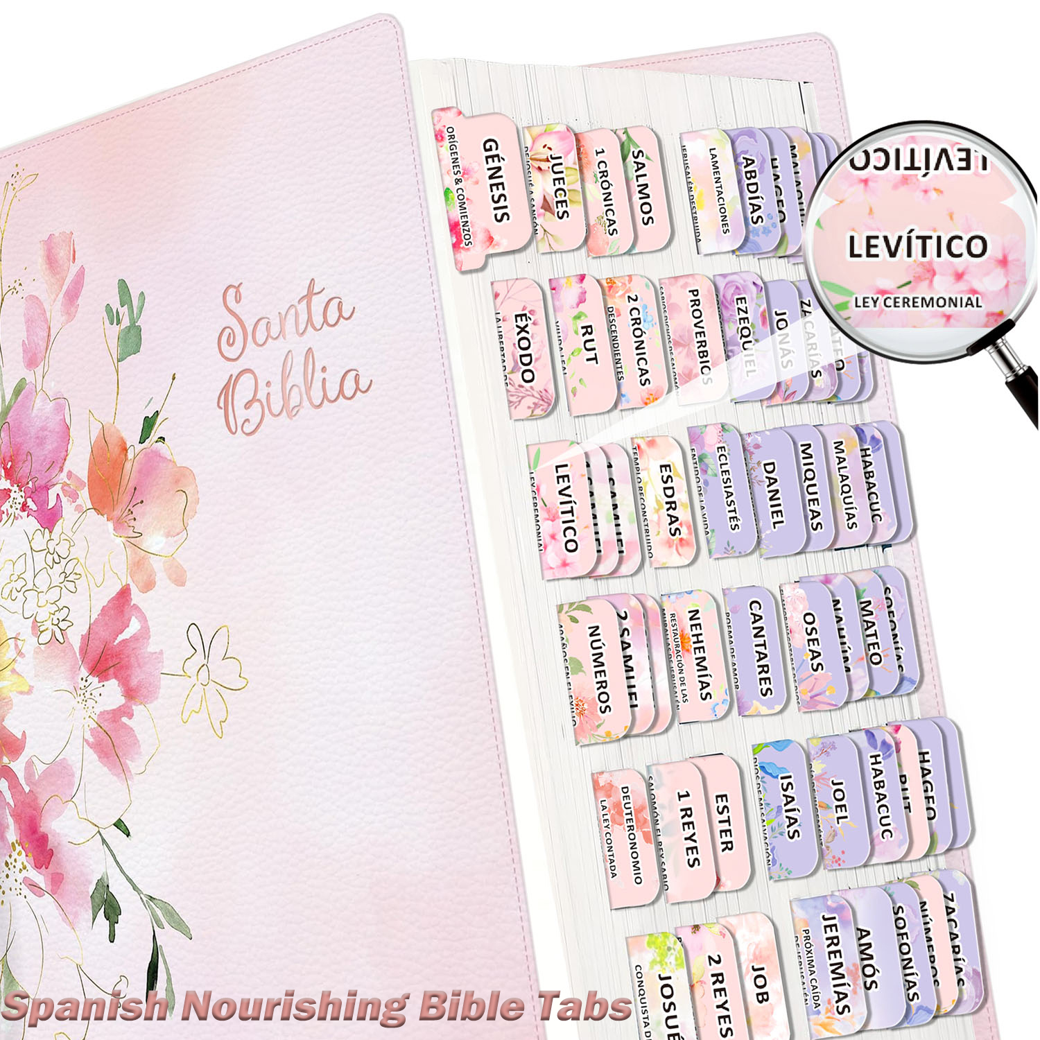 80pcs Spanish Bible Tabs-Soul  - مراجعة Index Tab Divider وسعره