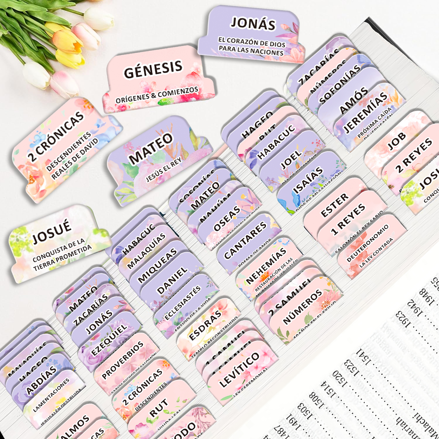 80pcs Spanish Bible Tabs-Soul  - مراجعة Index Tab Divider وسعره