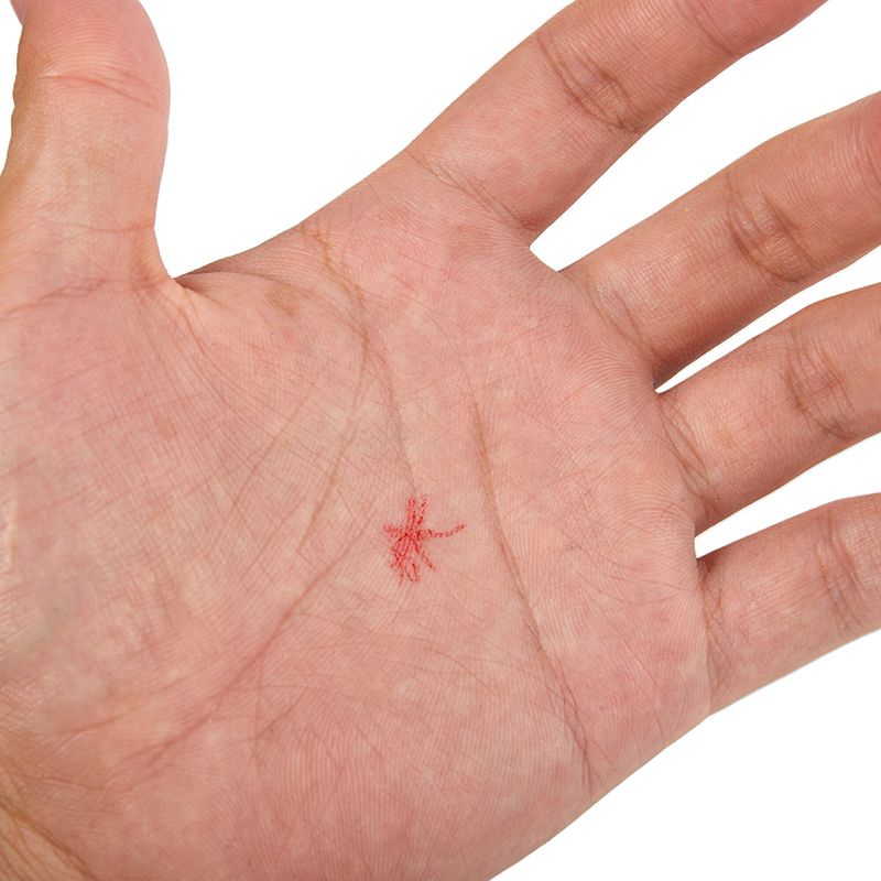 1/4pcs Mosquito Pattern Self-I - مراجعة Self Inking Stamp وسعره