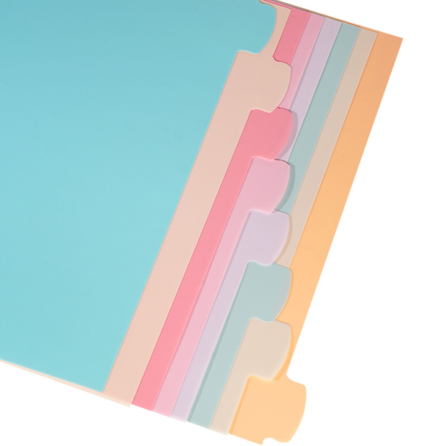 8 Tab Binder Dividers for 3 Ri - مراجعة Index Tab Divider وسعره