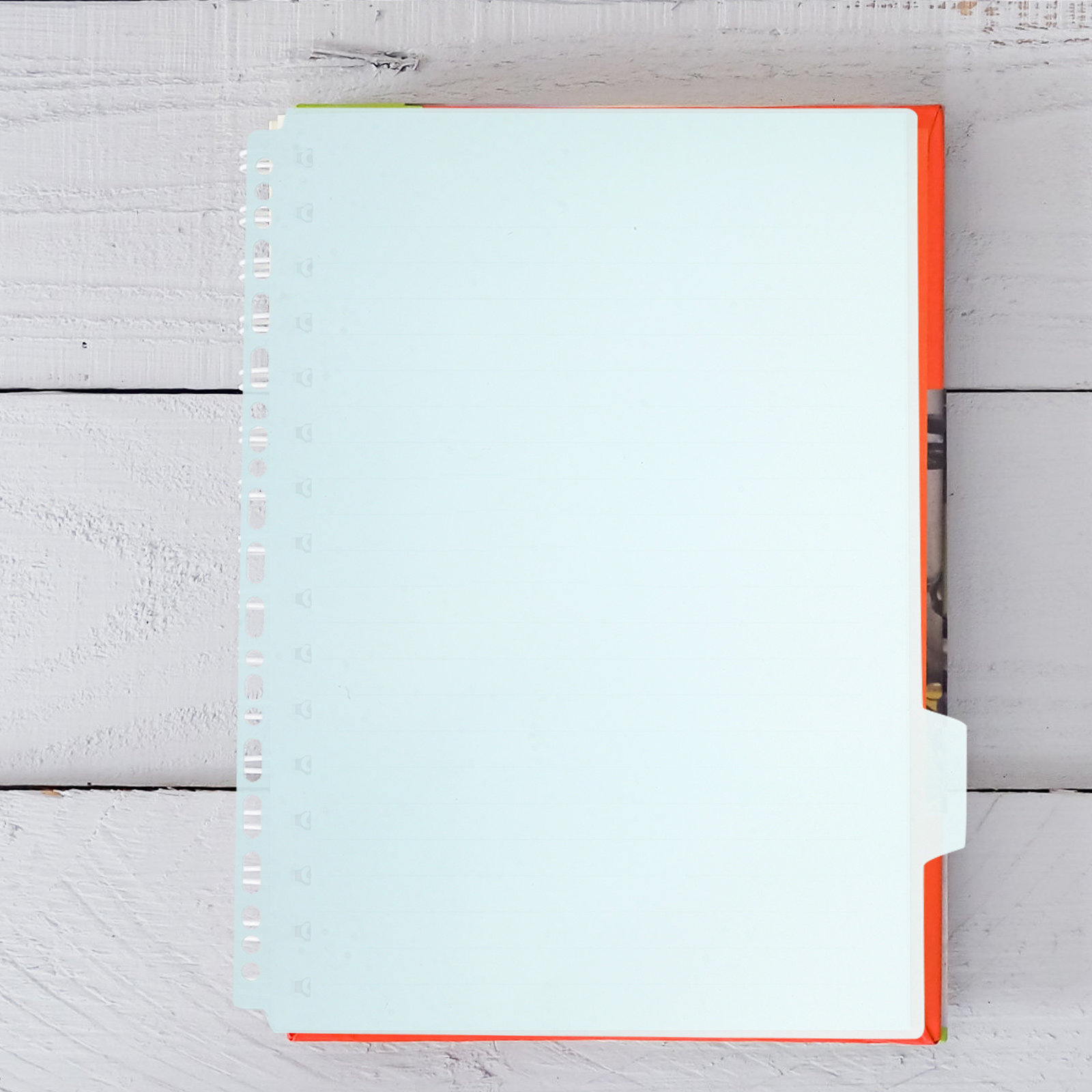 6Pcs File Binder Dividers A4 I - مراجعة Index Tab Divider وسعره